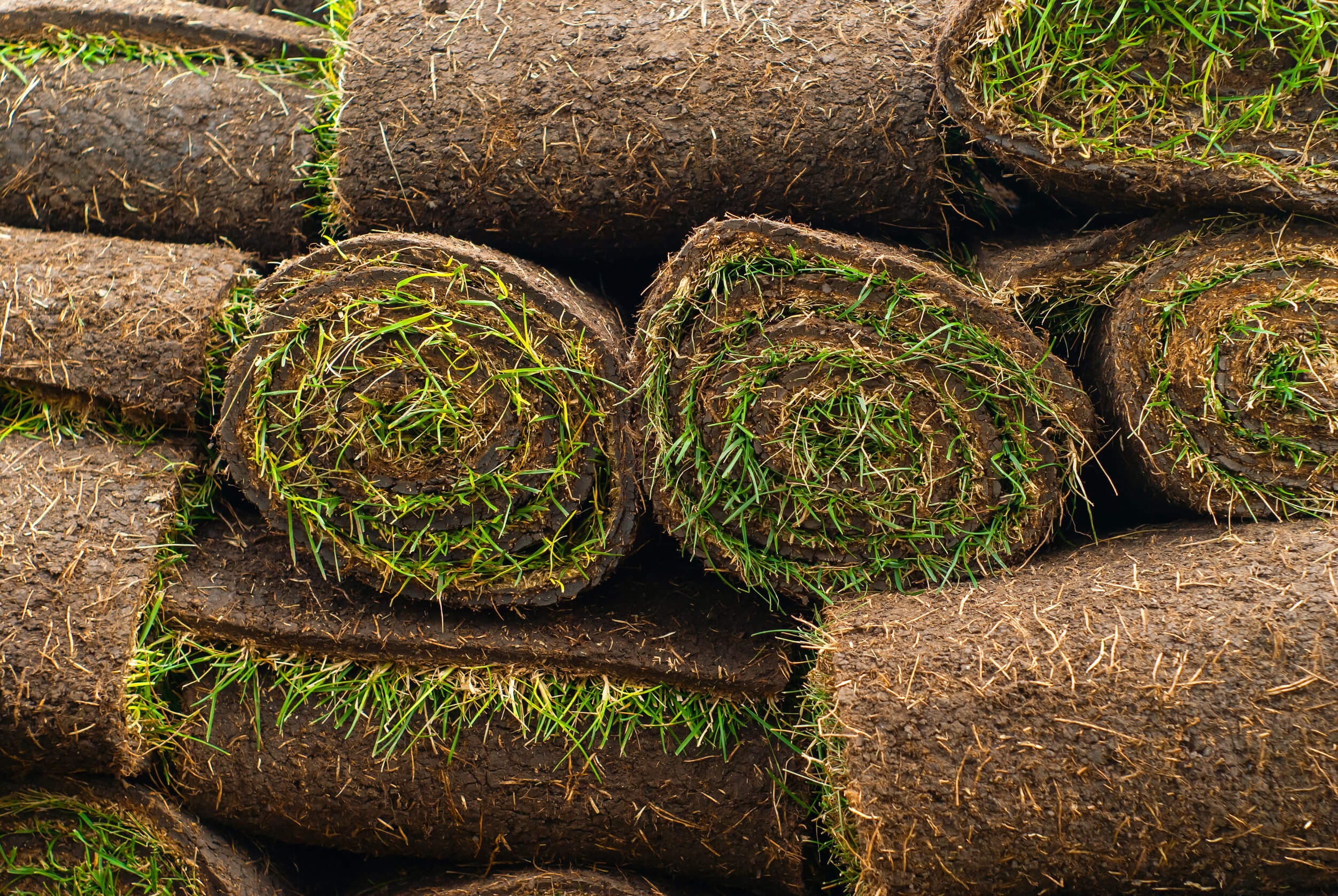 Neatly stacked rolls of healthy green sod prepared for a landscaping project.