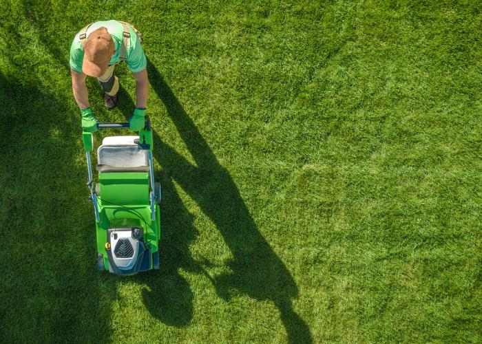 A person mowing a lush green lawn with a push mower from a top-down view.